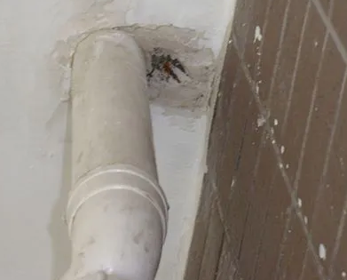 厦门漏水检测哪家好